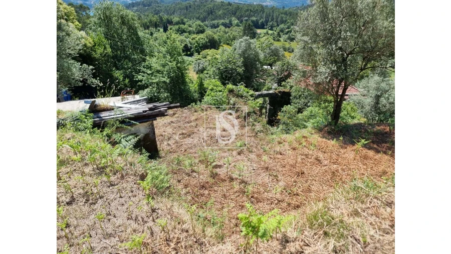 Terreno para Venda em Anissó e Soutelo Foto 6