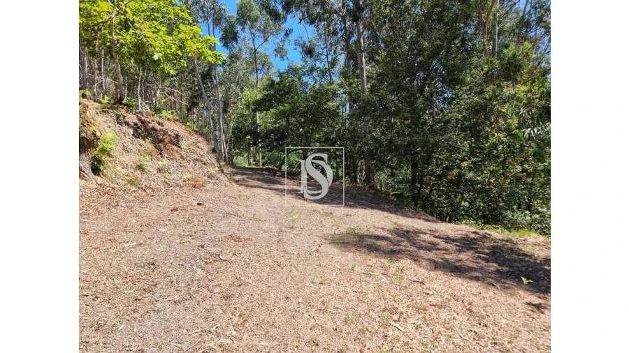 Terreno para Venda em Anissó e Soutelo Foto 15
