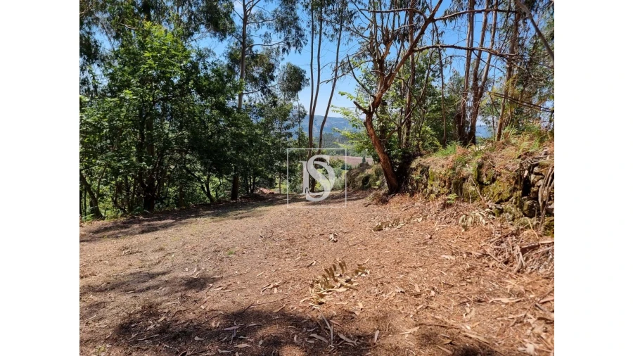 Terreno para Venda em Anissó e Soutelo Foto 14