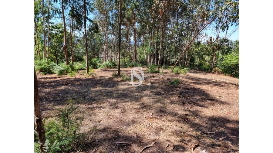 Terreno para Venda em Anissó e Soutelo Foto 12