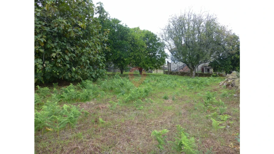 Moradia T3 para Venda em Ceivães e Badim Foto 13