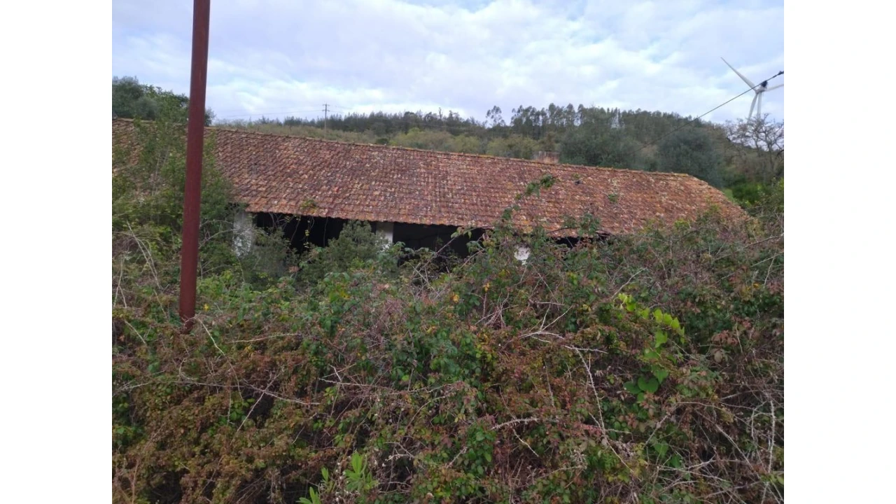 Terreno para Venda em Lousa Foto 26