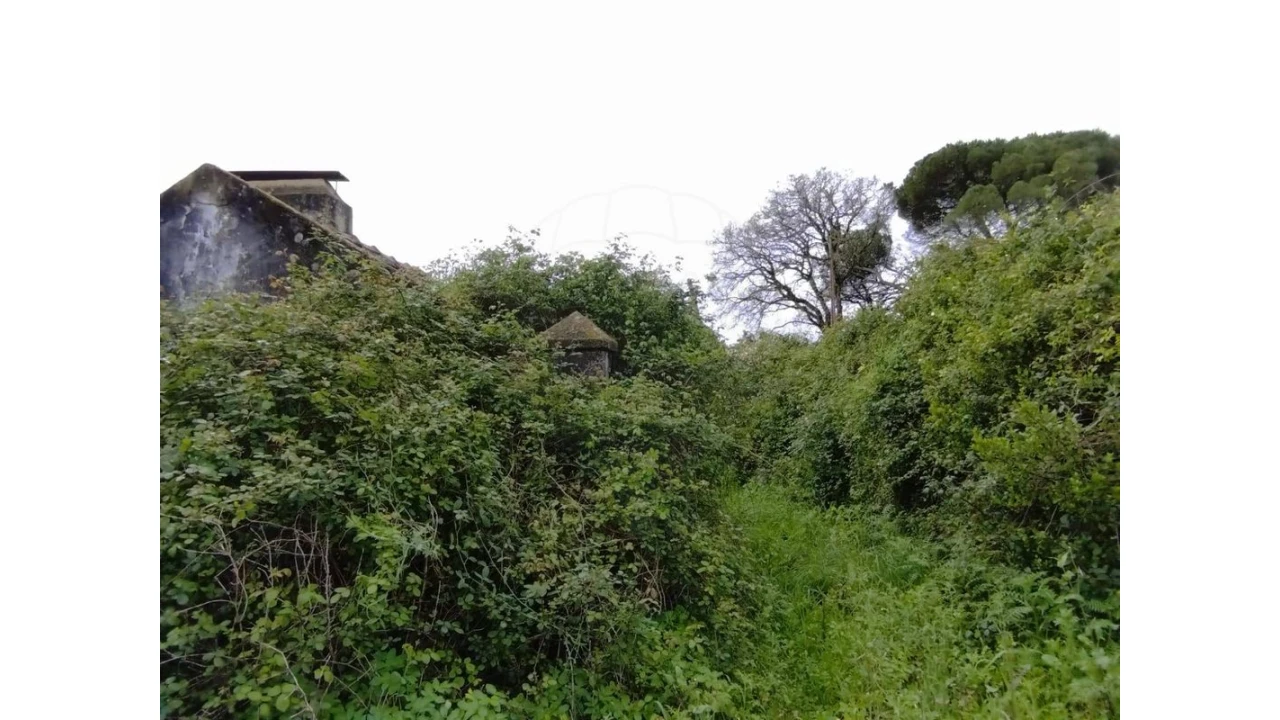 Terreno para Venda em Lousa Foto 17