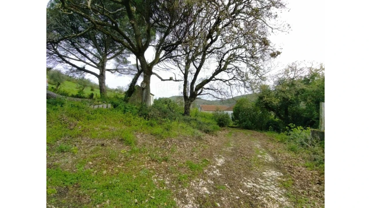 Terreno para Venda em Lousa Foto 10