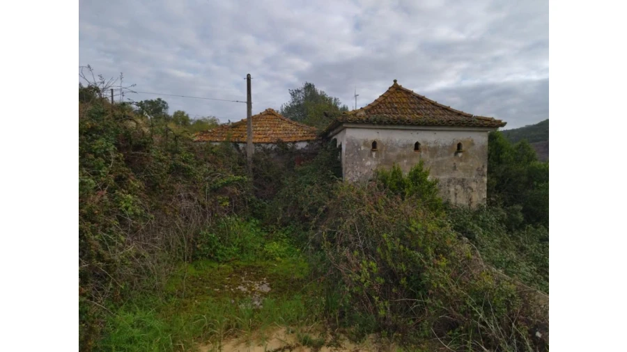 Terreno para Venda em Lousa Foto 25