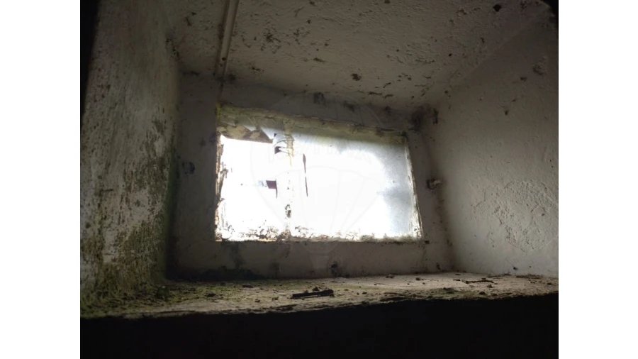 Terreno para Venda em Lousa Foto 41