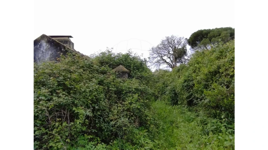 Terreno para Venda em Lousa Foto 17