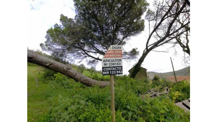Terreno para Venda em Lousa Foto 8