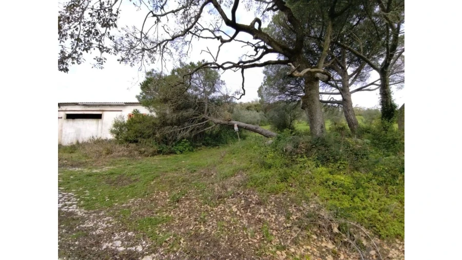 Terreno para Venda em Lousa Foto 12