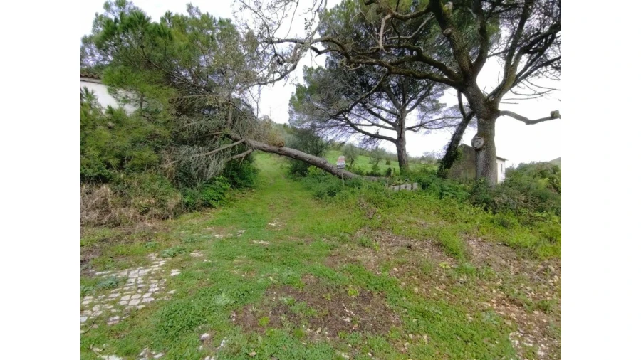 Terreno para Venda em Lousa Foto 9