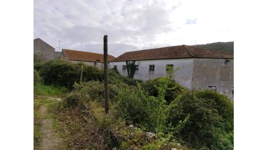 Terreno para Venda em Lousa Foto 15