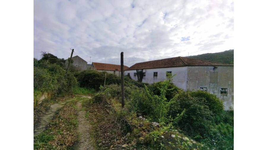 Terreno para Venda em Lousa Foto 13