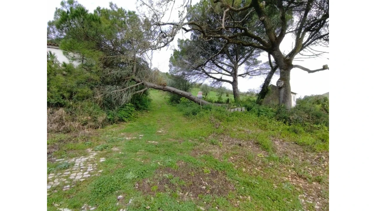Terreno para Venda em Lousa Foto 9