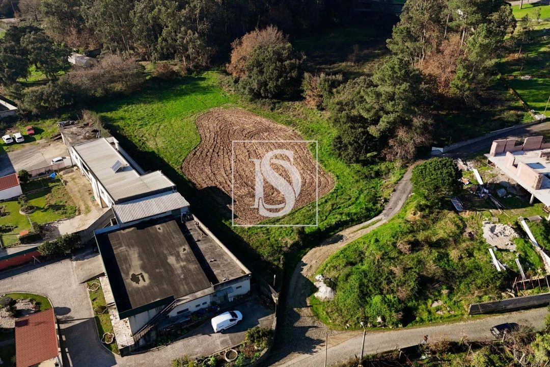 Terreno para Venda em Galegos (São Martinho) Foto 1