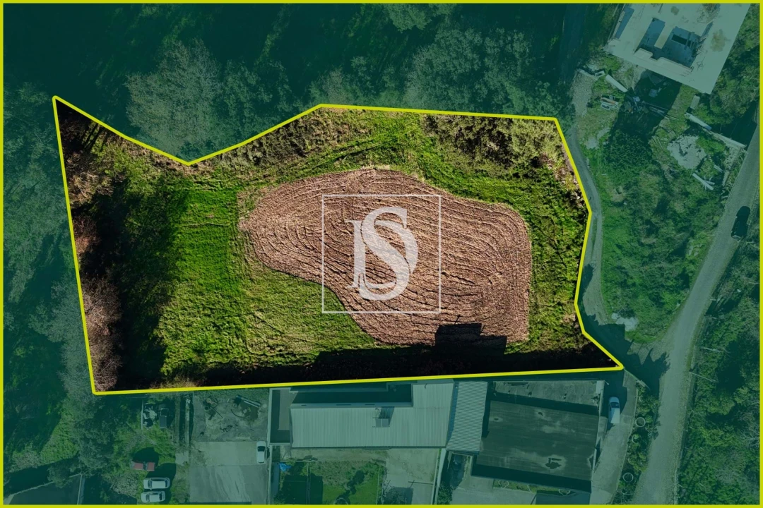 Terreno para Venda em Galegos (São Martinho) Foto 6