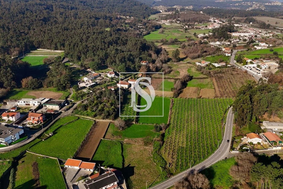 Terreno para Venda em Galegos (São Martinho) Foto 12