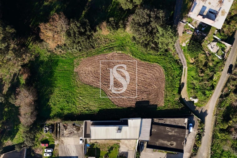 Terreno para Venda em Galegos (São Martinho) Foto 7