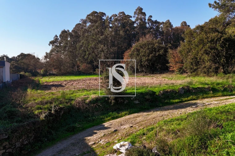 Terreno para Venda em Galegos (São Martinho) Foto 3