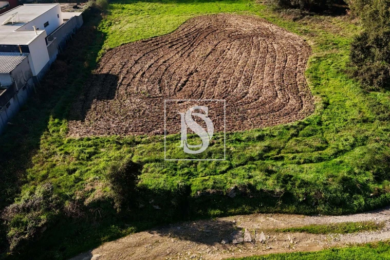 Terreno para Venda em Galegos (São Martinho) Foto 13