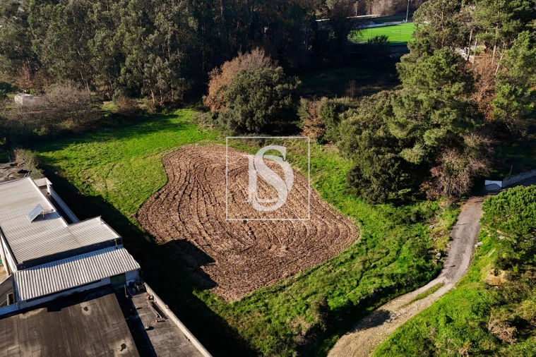 Terreno para Venda em Galegos (São Martinho) Foto 5