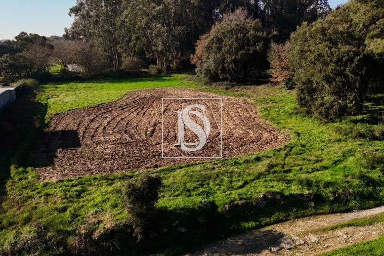 Terreno para Venda em Galegos (São Martinho) Foto 4