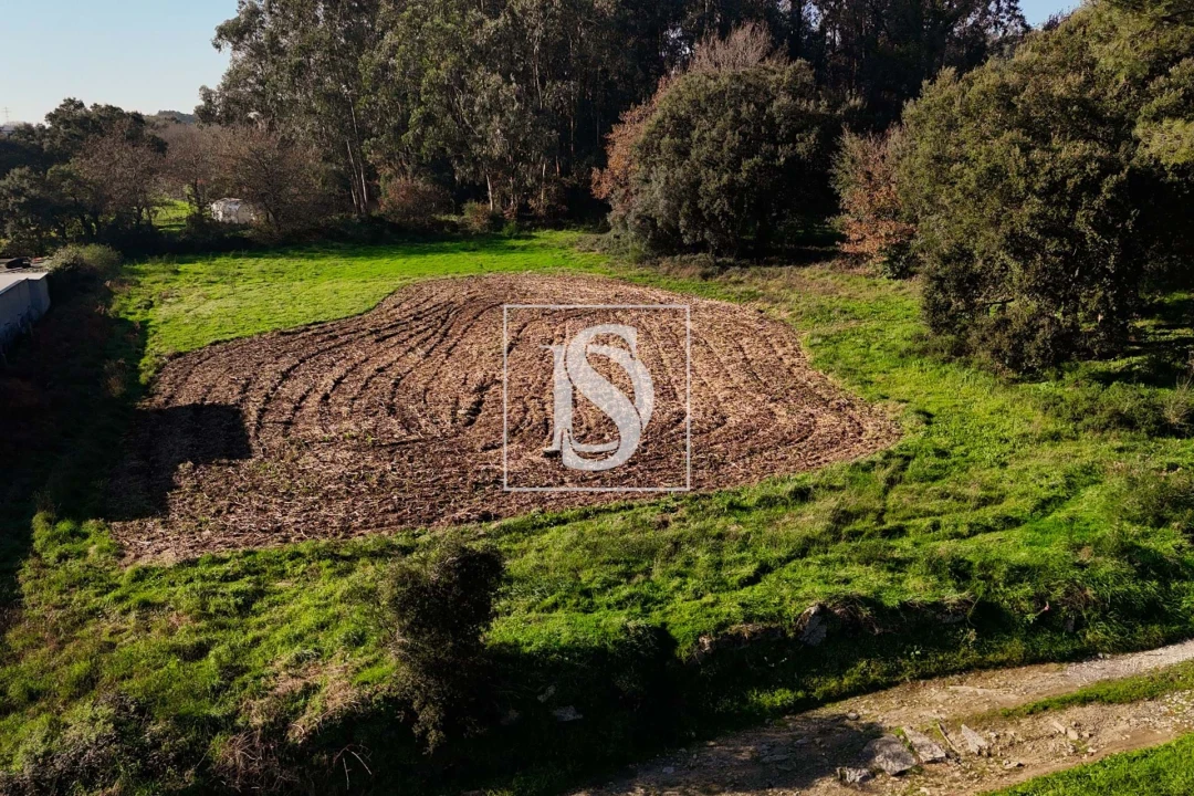 Terreno para Venda em Galegos (São Martinho) Foto 4