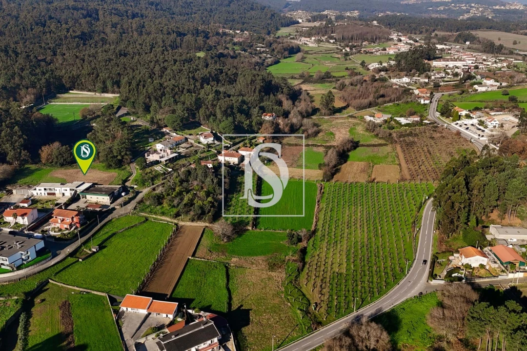 Terreno para Venda em Galegos (São Martinho) Foto 11