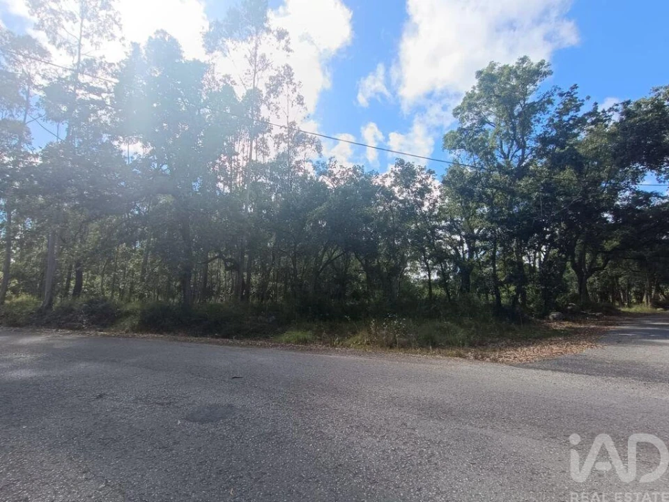 Terreno para Venda em Alcobaça e Vestiaria Foto 17