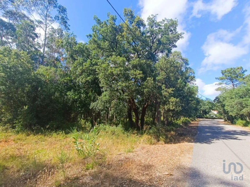 Terreno para Venda em Alcobaça e Vestiaria Foto 10