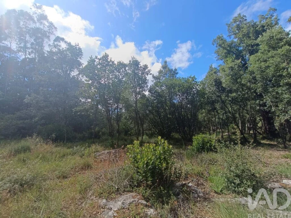 Terreno para Venda em Alcobaça e Vestiaria Foto 20