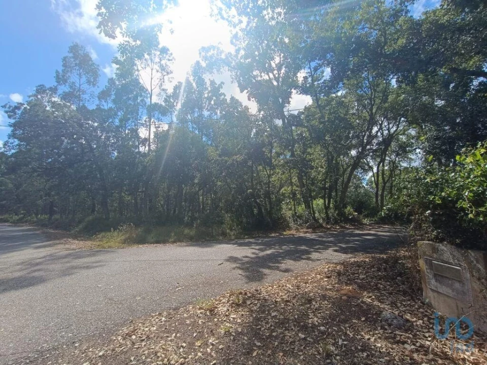 Terreno para Venda em Alcobaça e Vestiaria Foto 6