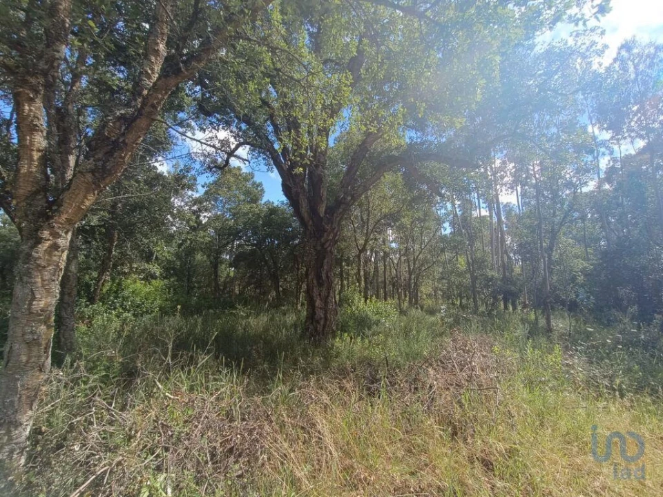 Terreno para Venda em Alcobaça e Vestiaria Foto 5