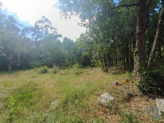 Terreno para Venda em Alcobaça e Vestiaria Foto 4