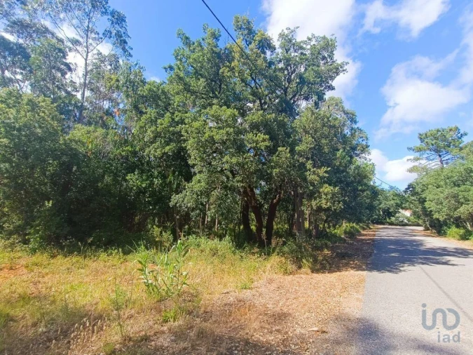 Terreno para Venda em Alcobaça e Vestiaria Foto 10