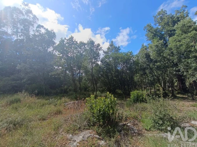 Terreno para Venda em Alcobaça e Vestiaria Foto 20