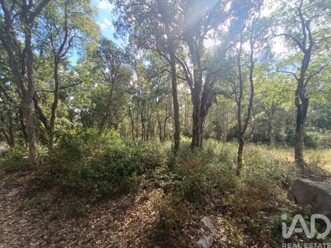Terreno para Venda em Alcobaça e Vestiaria Foto 16