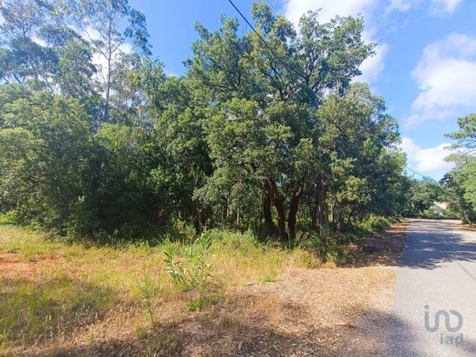 Terreno para Venda em Alcobaça e Vestiaria Foto 14