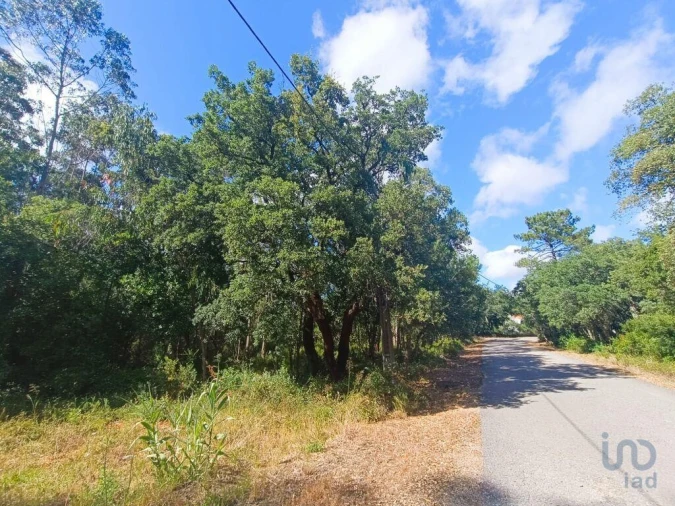 Terreno para Venda em Alcobaça e Vestiaria Foto 15