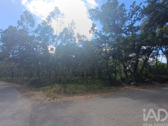 Terreno para Venda em Alcobaça e Vestiaria Foto 26