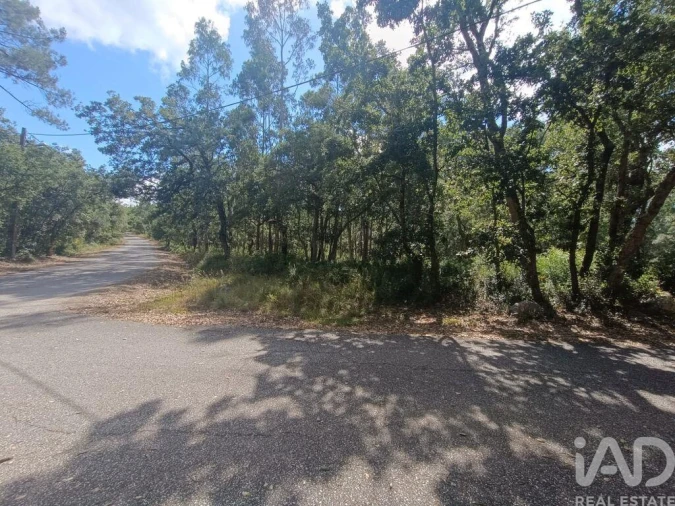Terreno para Venda em Alcobaça e Vestiaria Foto 22