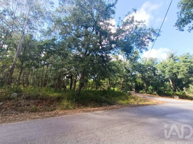 Terreno para Venda em Alcobaça e Vestiaria Foto 19