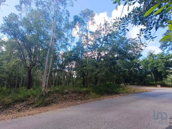 Terreno para Venda em Alcobaça e Vestiaria Foto 12
