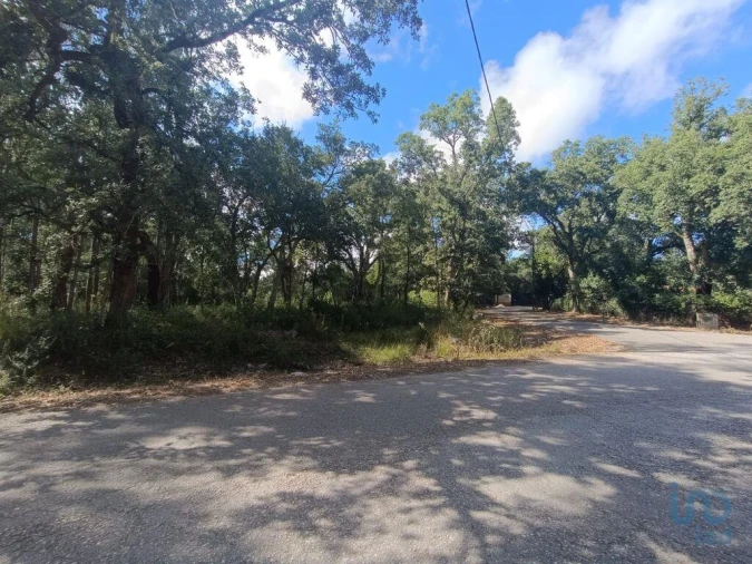 Terreno para Venda em Alcobaça e Vestiaria Foto 3