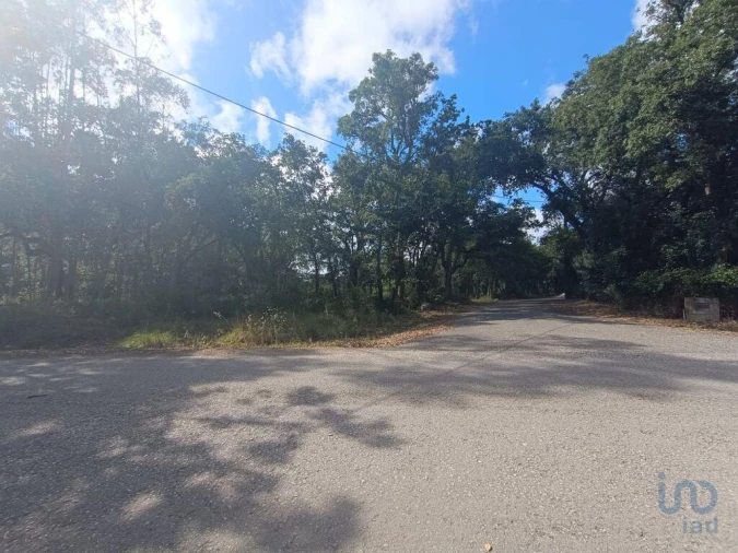 Terreno para Venda em Alcobaça e Vestiaria Foto 7