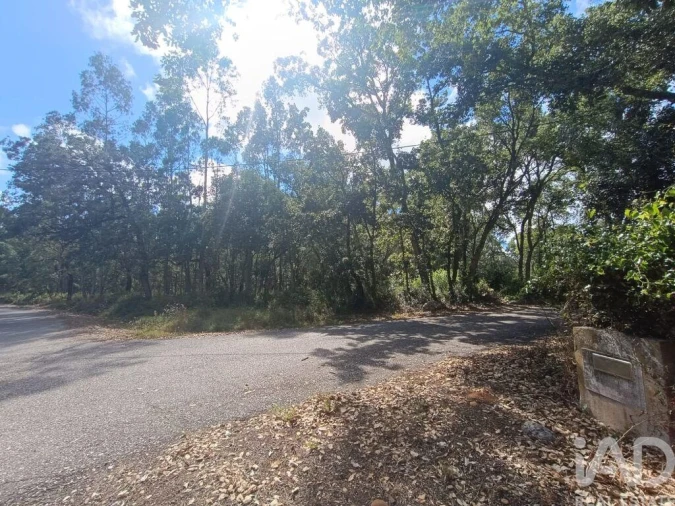 Terreno para Venda em Alcobaça e Vestiaria Foto 18