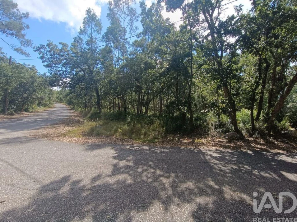 Terreno para Venda em Alcobaça e Vestiaria Foto 22