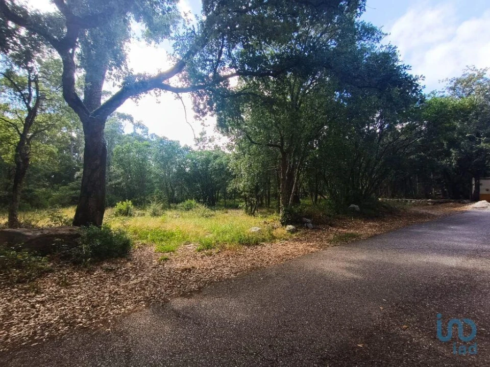Terreno para Venda em Alcobaça e Vestiaria Foto 9