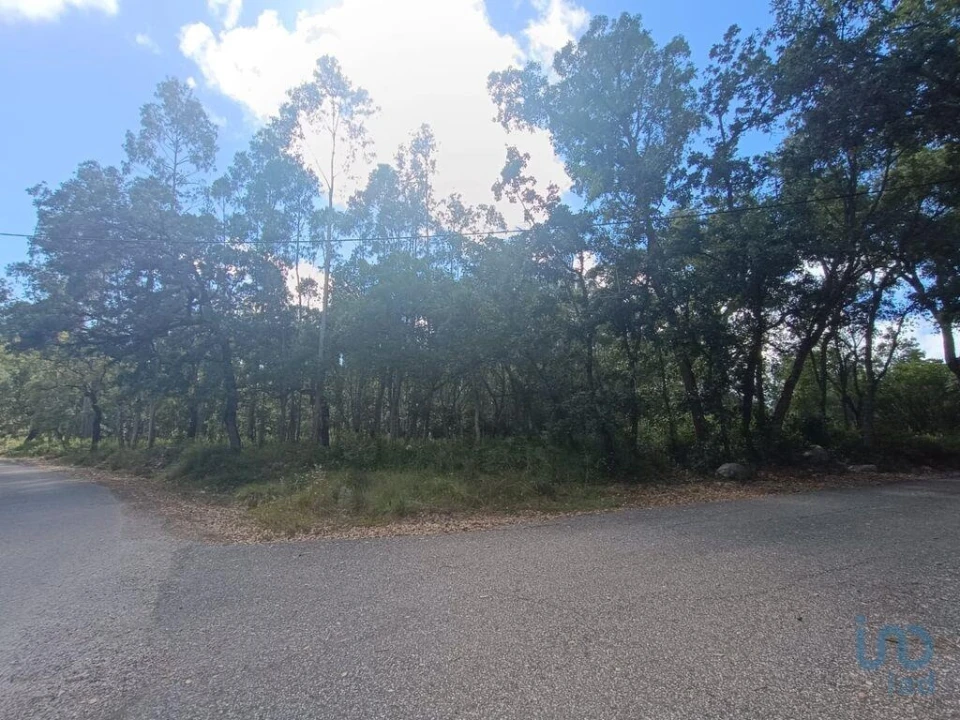 Terreno para Venda em Alcobaça e Vestiaria Foto 13