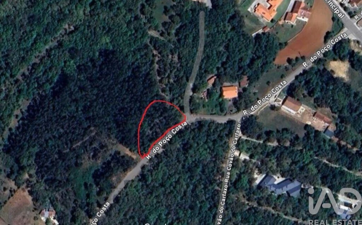 Terreno para Venda em Alcobaça e Vestiaria Foto 27