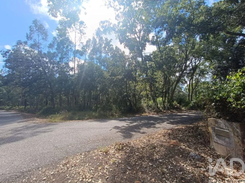 Terreno para Venda em Alcobaça e Vestiaria Foto 18